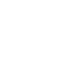 International Moon Day